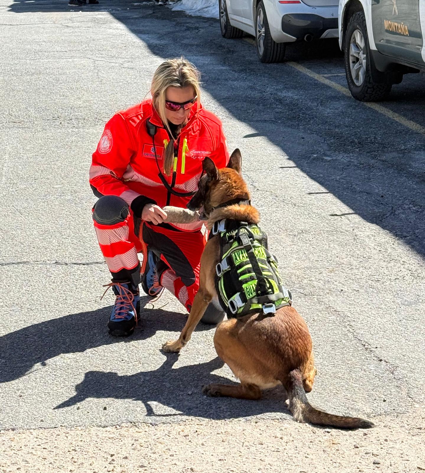 Profesional de Proemer con un perro de rescate